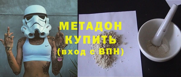 гидра Няндома