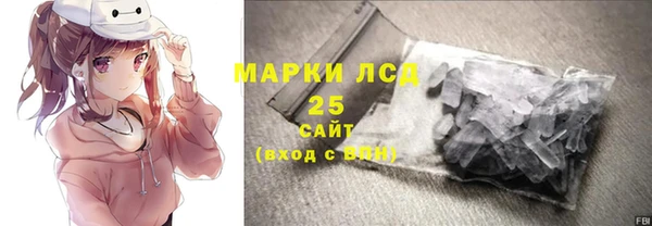 гидра Няндома