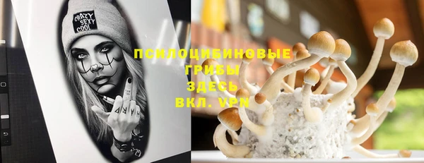 первитин Нягань