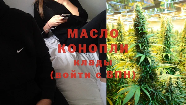 гидра Няндома