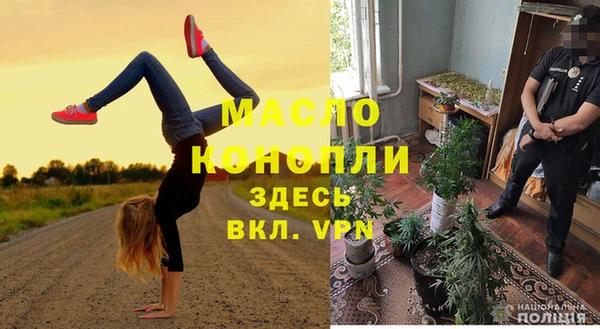 гидра Няндома