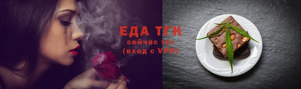 гидра Няндома
