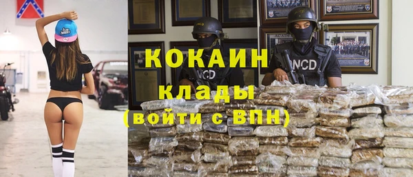 гидра Няндома