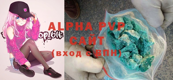 гидра Няндома