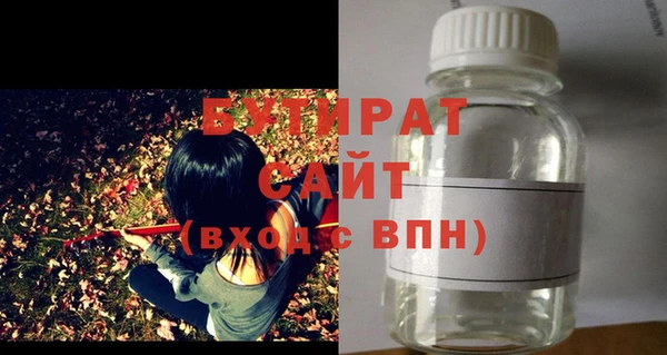 гидра Няндома
