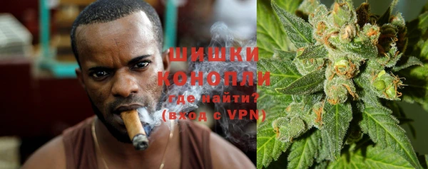 гидра Няндома