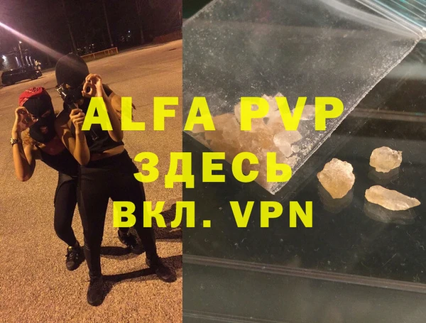 гидра Няндома
