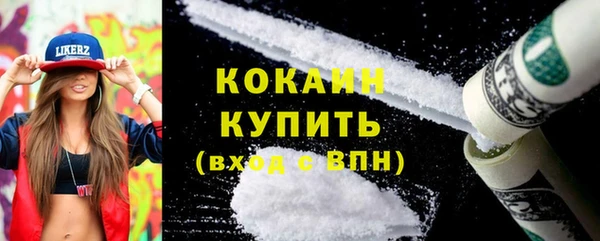 гидра Няндома