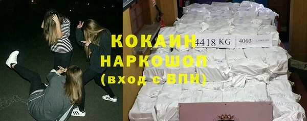 гидра Няндома