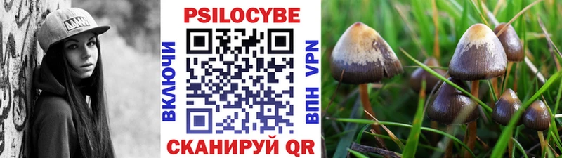 Купить закладки  Рассказово  Псилоцибиновые грибы Magic Shrooms 